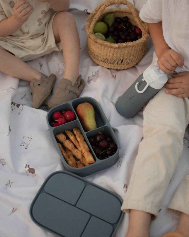 Boîte à lunch bento en silicone