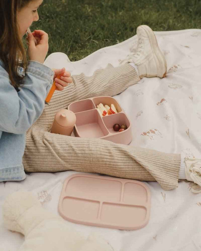Boîte à lunch bento en silicone
